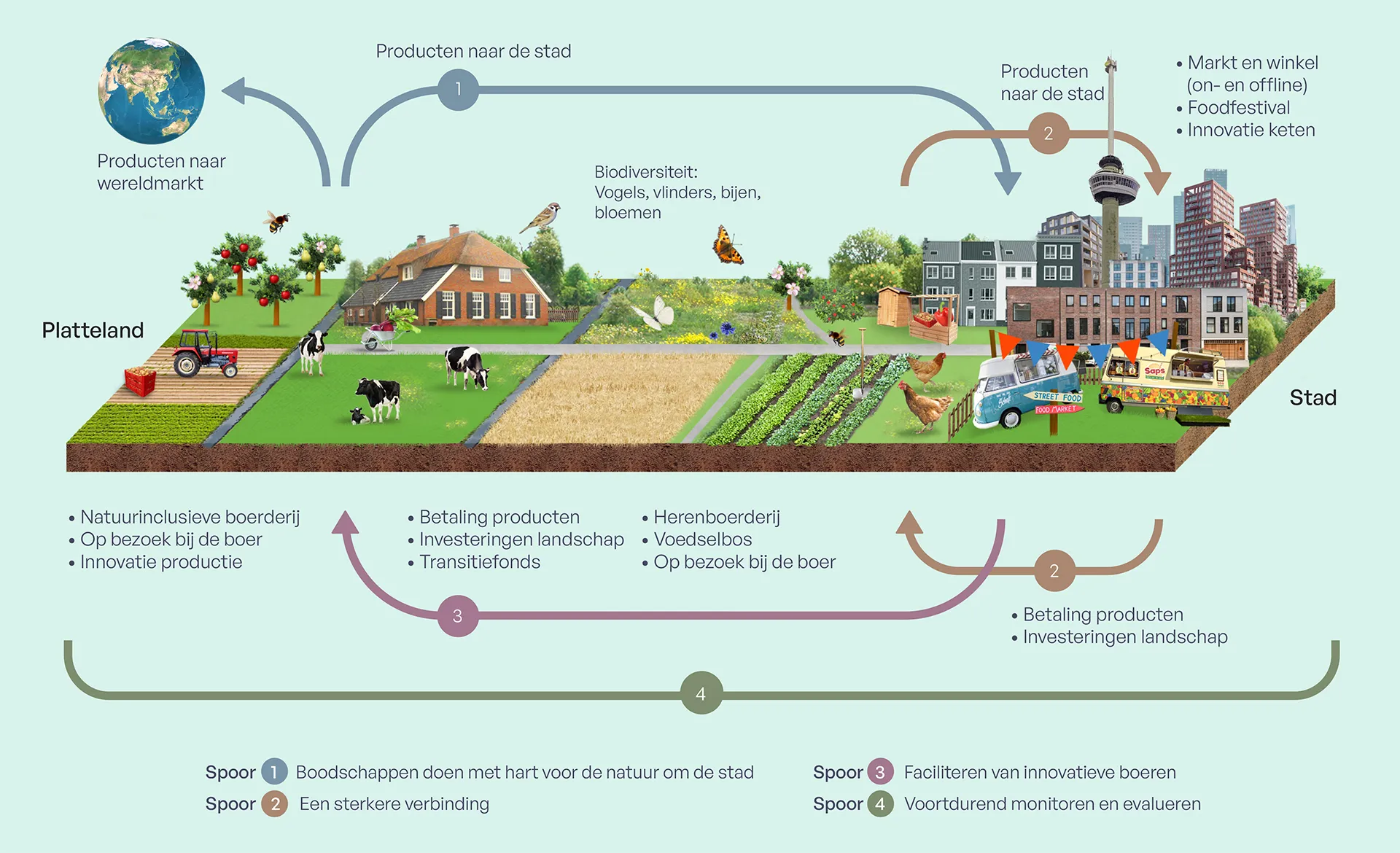 Infographic